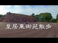 【皇居東御苑散歩】無料で歴史体験。東京屈指のパワースポット。江戸城天守台石垣の迫力と美しい庭園に感動と癒しのひととき。