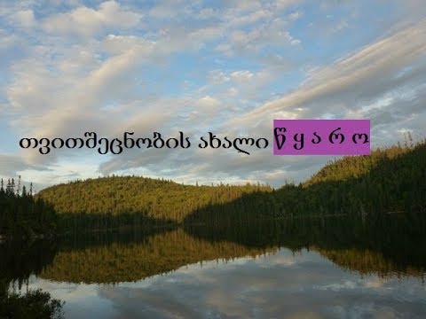 თვითშეცნობის ახალი წყარო