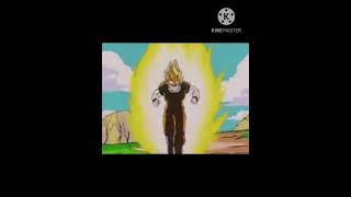 Goku chases Luffy