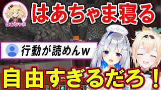 【二視点】新ホロ鯖で全力で遊んで唐突に去っていくはあちゃまｗ【ホロライブ切り抜き/天音かなた/風真いろは/Minecraft】