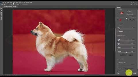 Bài 9: Hướng dẫn Cắt Ghép Hình Ảnh bằng công cụ Select And Mask trong Photoshop