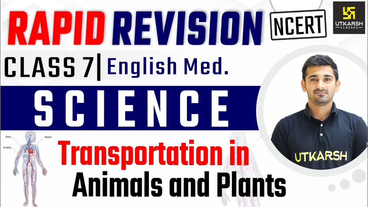 Chapter - 11 Transportation in Animals and Plants | Science | Class 7 ...