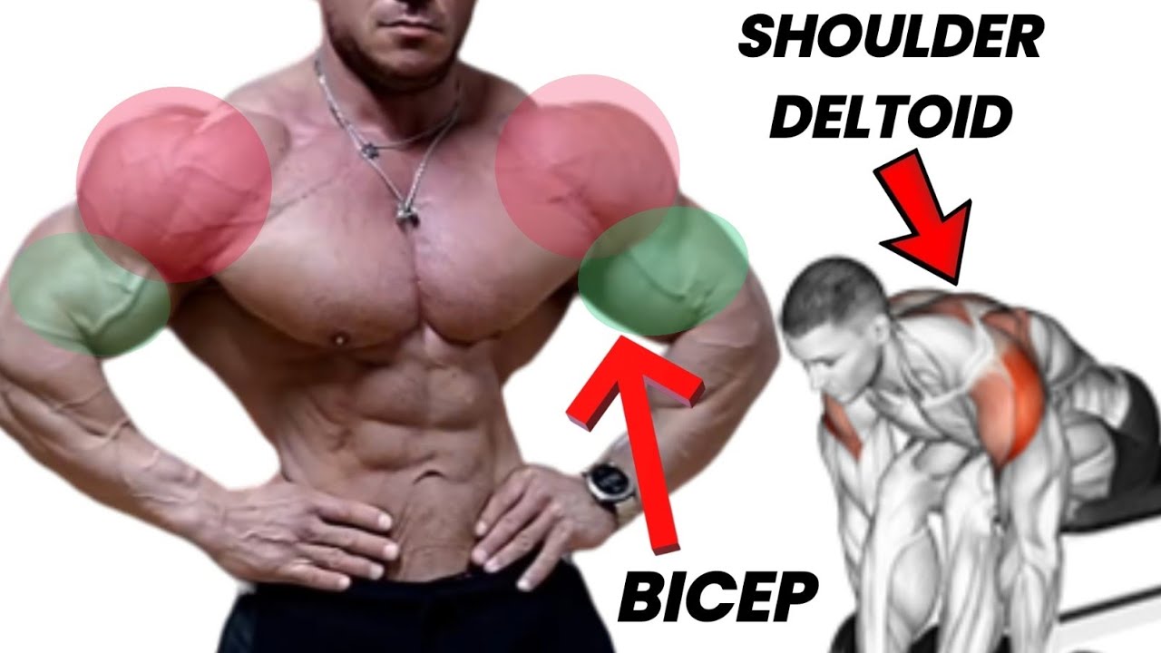 Best Shoulder And Biceps Exercises To Build Big Shoulder & Bicep Muscle ...