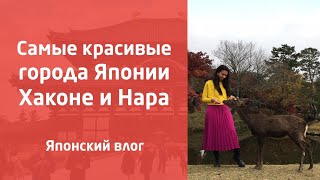 Что нужно посмотреть в Хаконе и Нара? Обзор лучших мест! Японский влог и мои впечатления о поездке