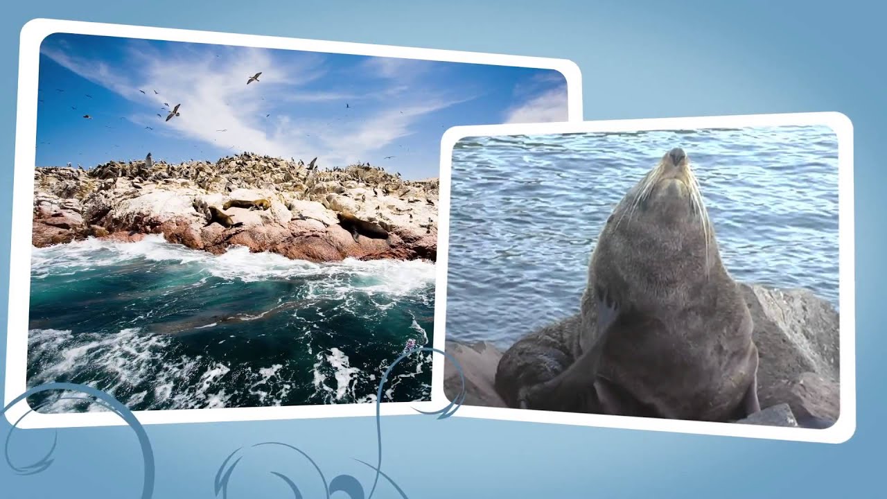 Globus Peru Tours YouTube