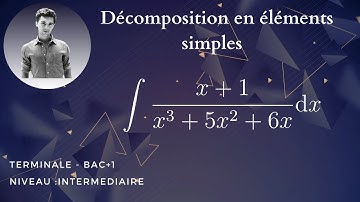 Méthode de décomposition en éléments simples pour calculer une primitive