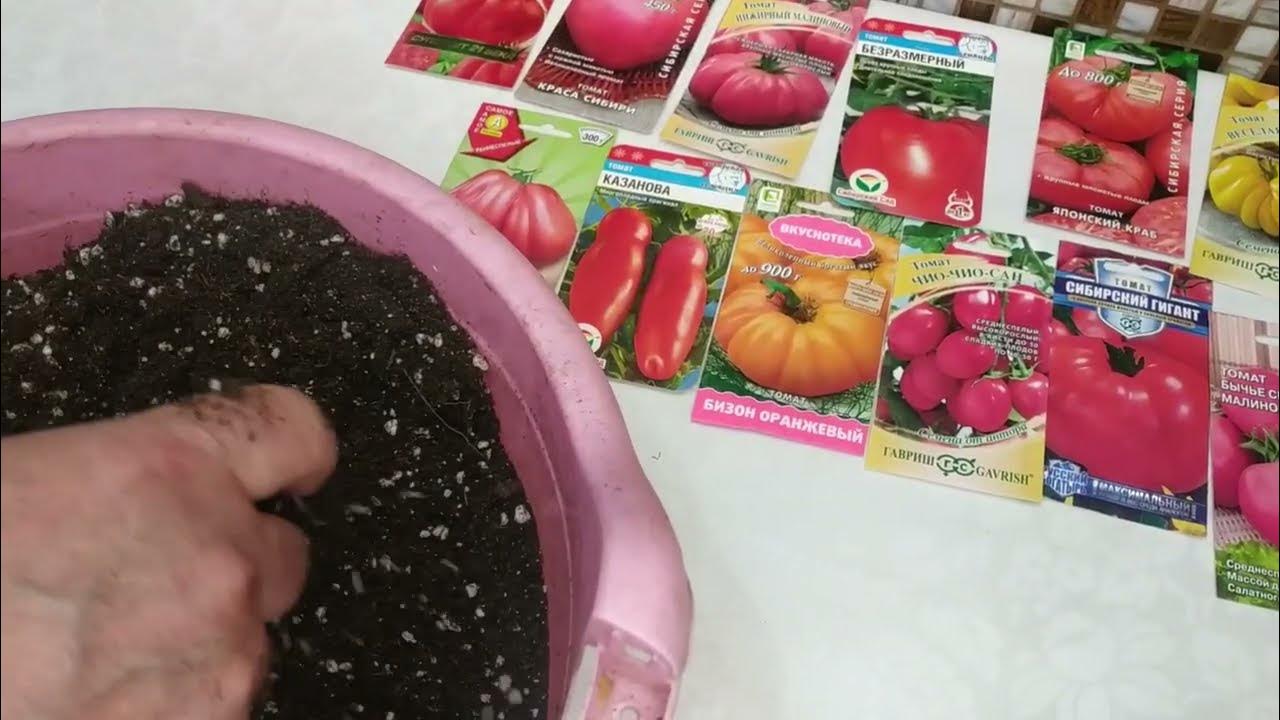 Сроки посева семян. Когда сеять помидоры. Томат непас 3. Посев помидор в марте 2023 на рассаду. Лунный посевной календарь на 2023 год.