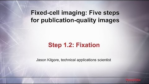 Fluorescence Microscopy Prep: Fixation for High-Quality Images