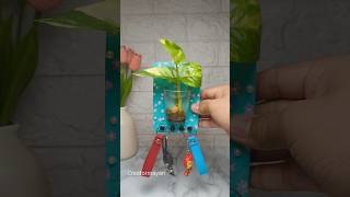 diy key holder #viral #handmade #diy #decor #viralvideo #shortvideo #keyholder 👍🩵