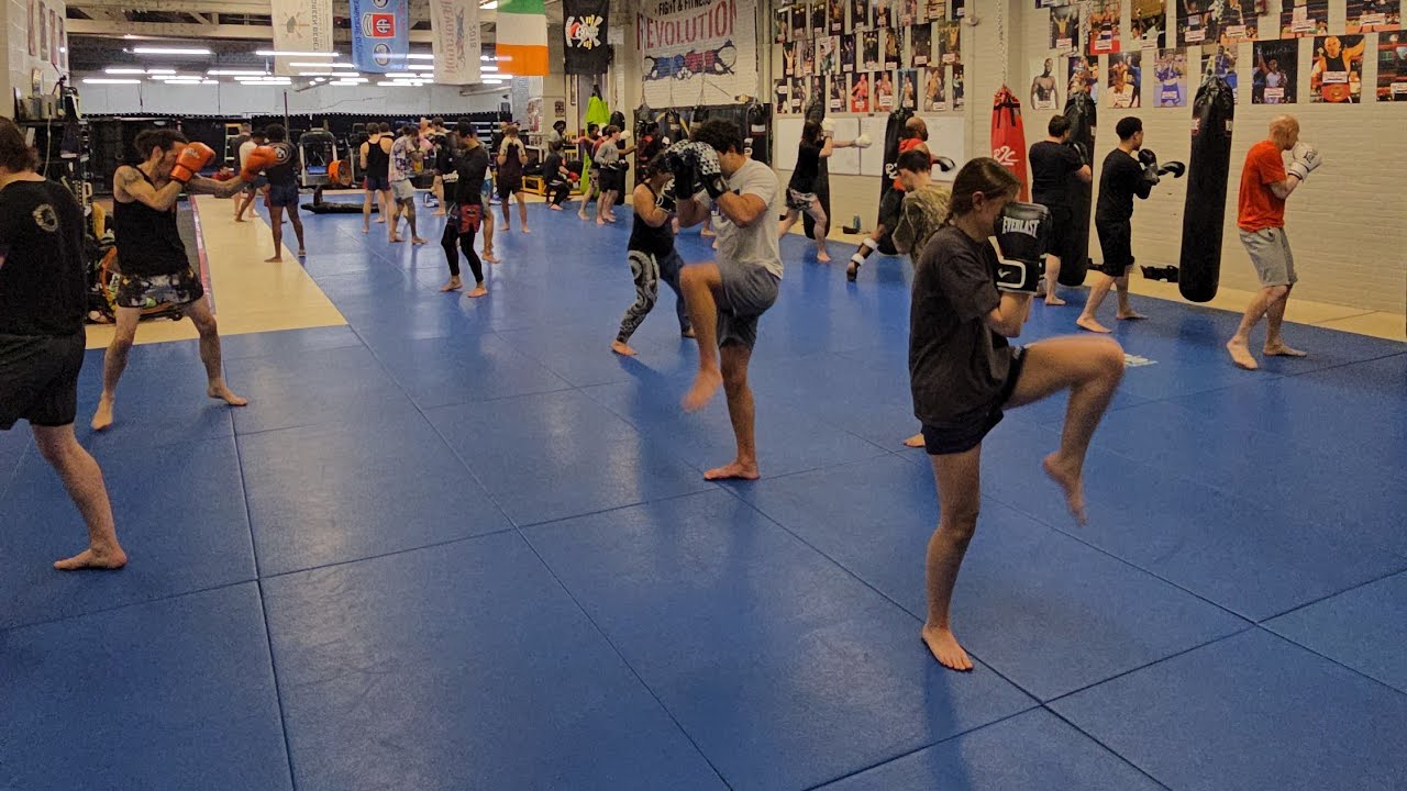 Muay Thai training: LIVE!