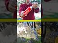 How To Turn Coca-Cola Into Smoke