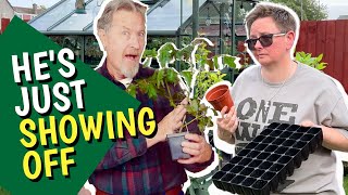 Secrets to Successfully Transplanting Tomato Seedlings