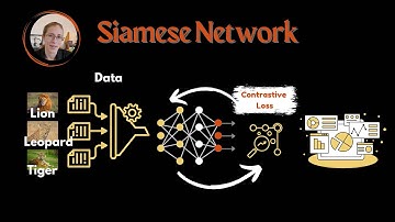 Siamese Network Algorithm
