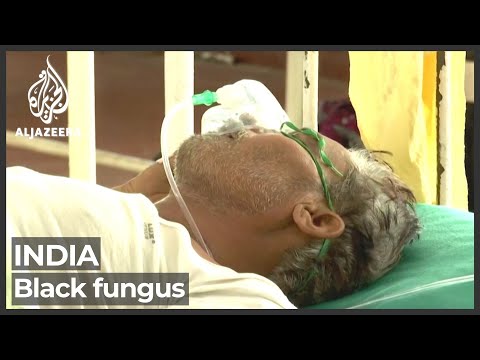 India sees 259,551 new COVID cases, ‘black fungus’ adds to woes