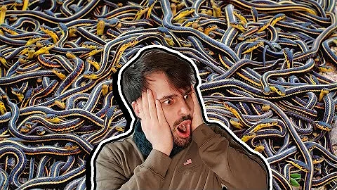 Dove fanno pipì i serpenti?