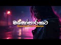 මනෝපාරකට සින්දු (slowed+reverb) | manoparakata sinhala song | Sinhala Songs Collection Vol : 60