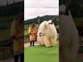 SHOCKING Photos That Will Blow Your Mind SHOCKING Photos That Will Blow Your Mind