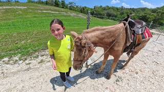 Family Trip To Belize Spring Break 2026