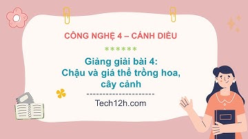 Giảng bài 4: Chậu và giá thể trồng hoa, cây cảnh | Bài giảng công nghệ 4 cánh diều