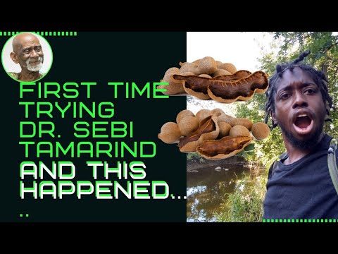 Trying Tamarind For The First Time From The Dr. Sebi Food List and This Happened...*emotional*