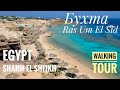 ШАРМ-ЭЛЬ-ШЕЙХ 🇪🇬Бухта Ras Um El Sid - Jaz Fanara Resort 4 -  Прогулка по берегу