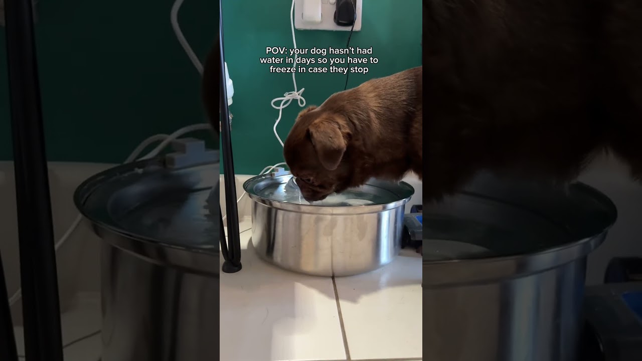 Turning into a living statue! 🥶 