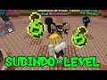 Subindo de nível no bedwars: the hive
