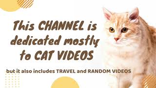 Welcome To Crazyket Channel Crazyket Channel