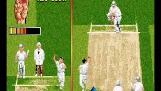 Ian Botham's Cricket AI Gameplay (Old-Games.ru) screenshot 3