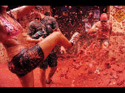 Video: La Tomatina помидор согушуна кантип катышууга болот