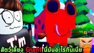 สัตว์เลี้ยง Giant นี่มันอะไรกันเนี่ย Roblox Pet Rift