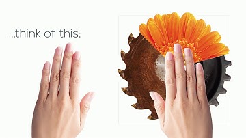 Our Circumplex in other words