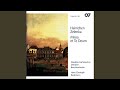 Heinichen: Mass No. 9 in D Major / Credo - IIIb. Crucifixus