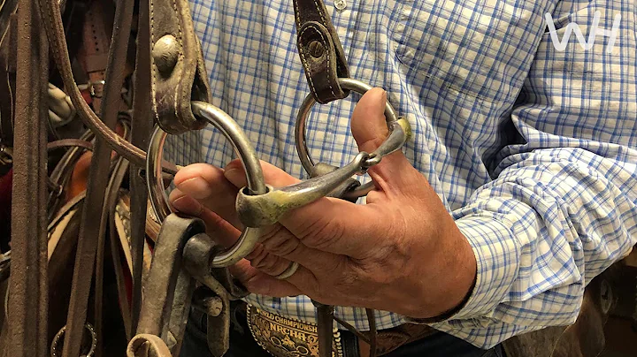 Jon Roeser's Snaffle Bit