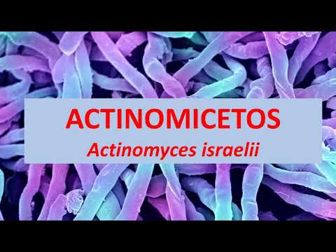 Vídeo: Actinomicose - Actinomicose Oral, Sintomas E Tratamento