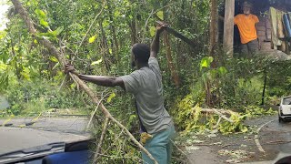 видео: Разрушительная Мелисса блокирует дороги вглубь Портленда и до дяди Дики, тур вниз по световым про... картинка: Разрушительная Мелисса блокирует дороги вглубь Портленда и до дяди Дики, тур вниз по световым про...