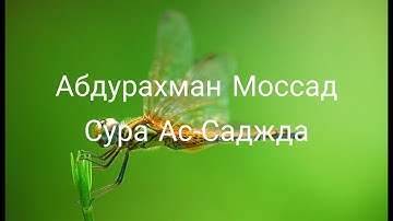 Абдурахман Моссад Сура 32 "Ас-Саджда"- Земной поклон