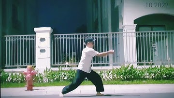 Double nunchaku 🇻🇳 song côn nhị khúc