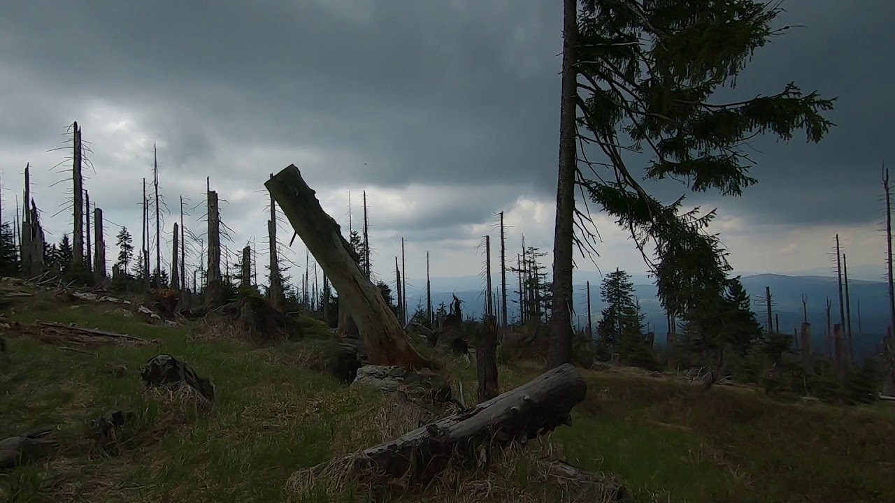 Wandern zum Großen Rachel im Bayerischen Wald