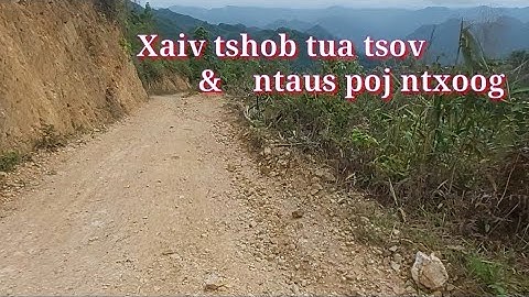xaiv tshob tua tsov & ntaus poj ntxoog 24-3-2022