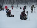 Чемпионат Тульской области по ловле на мормышку со льда январь 2016