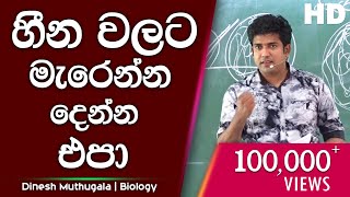 හීන වලට මැරෙන්න දෙන්න එපා | Dinesh Muthugala | පැය 6ක බයෝ පන්තියේ ජීවිතේ කියාදෙන විනාඩි 13