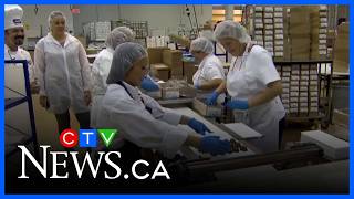 Signs of life in Canada s jobs market