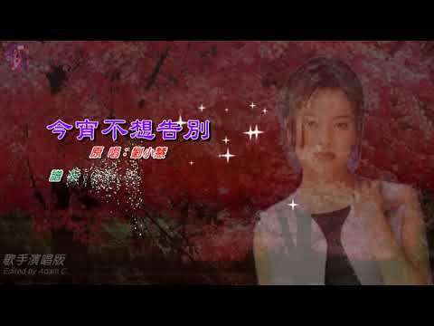 今宵不想告別   劉小慧〈歌手演唱版〉