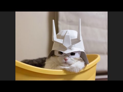 猫柳どうが104.1　おれ、ねこやなぎ　思い出ぽん！