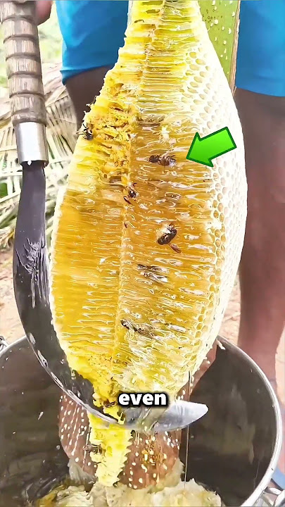 Why Fake Honey Shouldn’t Be Eaten 😲