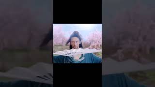 【张哲瀚】山河令中阿絮的打戏太好看了！身手和腰力真的很好！😍😍#张哲瀚 #浪浪钉 #山河令