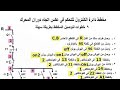 دورة التحكم الالي   شرح مخطط دائرة الكنترول التحكم في عكس اتجاة دوران المحرك المهندس عماد فتحي سمعها