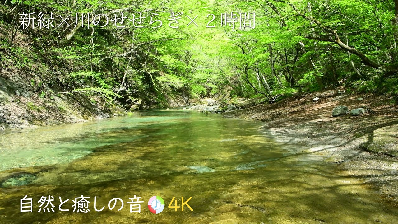 【自然の音】新緑の森林と渓谷を流れる川のせせらぎ、癒し、睡眠、リラックス、ストレス、疲労軽減、癒し、睡眠、リラックス、作業用BGM/River ...