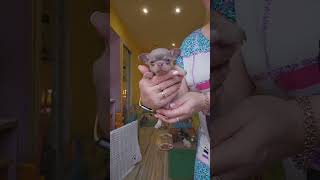 Джаз Ювелирович  ⛔️ зарезервирован